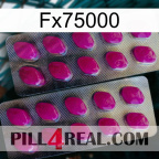 Fx75000 10